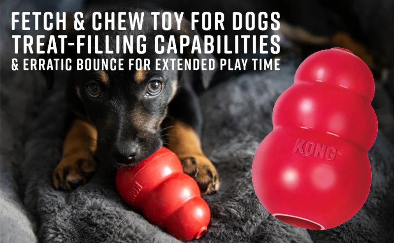 Treat-Filling Chew & Fetch Toy with Erratic Bounce, Made from KONG's Most Durable Natural Rubber for Power Chewers