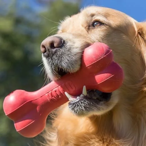Durable Natural Rubber Dog Toy: The KONG classic red rubber formula is durable and forgiving, making it safe for your dog's teeth; KONG is recommended by veterinarians and trainers worldwide
