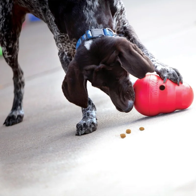 Interactive Dog Toy for Treats: The KONG Wobbler dog toy is an action-packed, mentally stimulating food dispenser and interactive toy